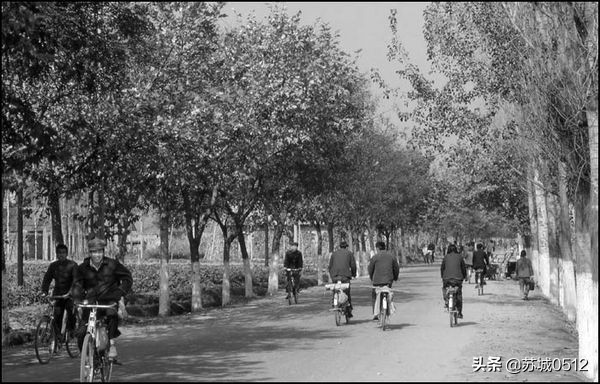 走在80年代的大街上（送给还有80记忆和90后的朋友）-2