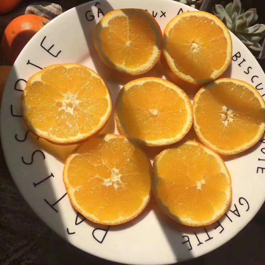 赣南脐橙一口就爆汁,一口一个爆汁的水果