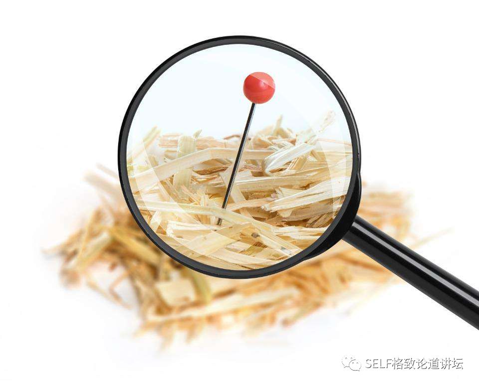 遇事不决量子力学是什么,遇事不决量子力学啥梗