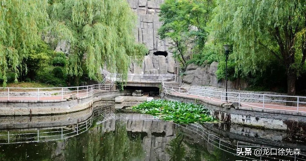 烟台塔山的简介,烟台塔山回忆