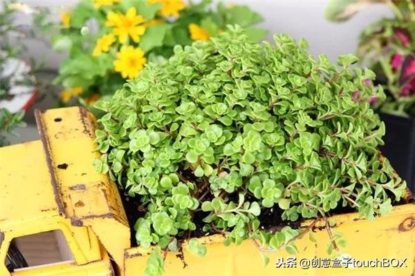 旧玩具车改造成新玩具,高手改造旧汽车玩具