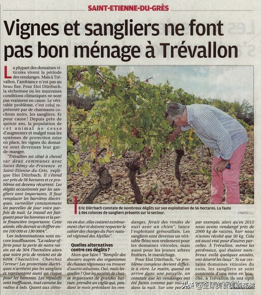 法国葡萄园工人收入,在法国葡萄酒厂打工赚钱吗