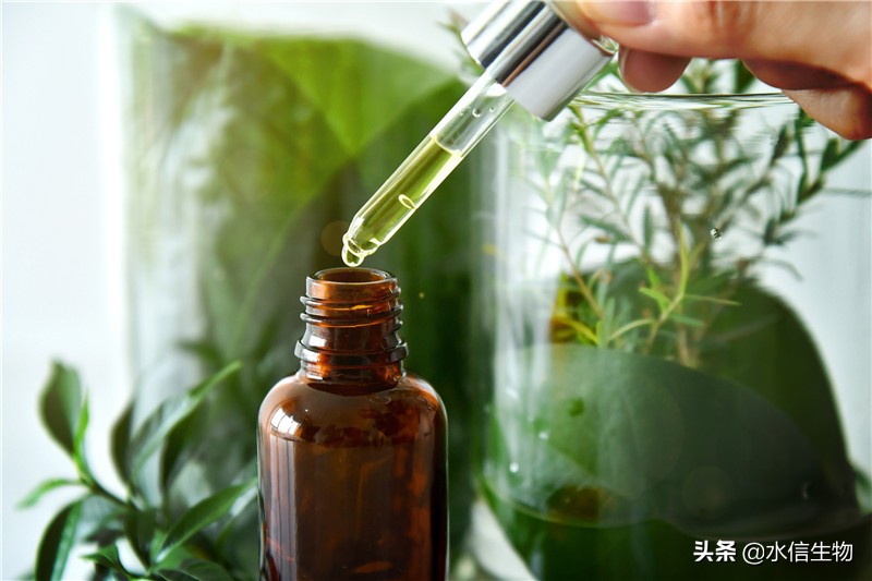 寡肽原液真的能祛痘吗？「水信生物」