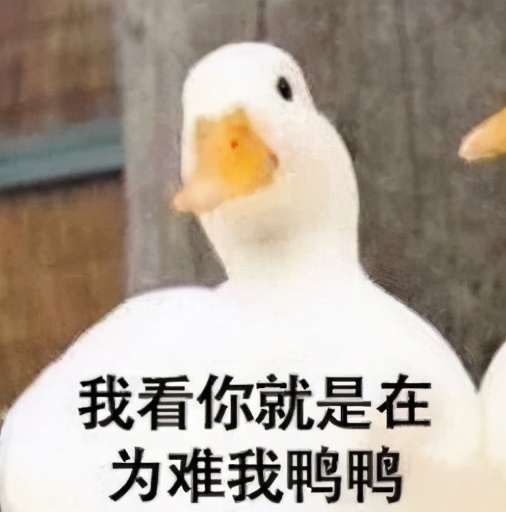 手残党能玩空洞骑士吗,硬核动作类游戏