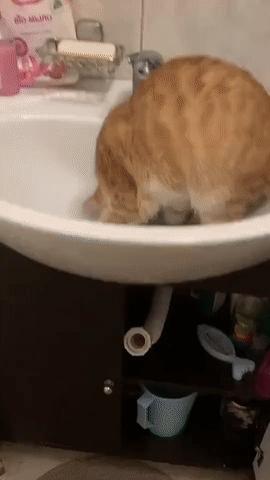 一脚踩进水坑系列,一脚踩进泥坑里那种感觉