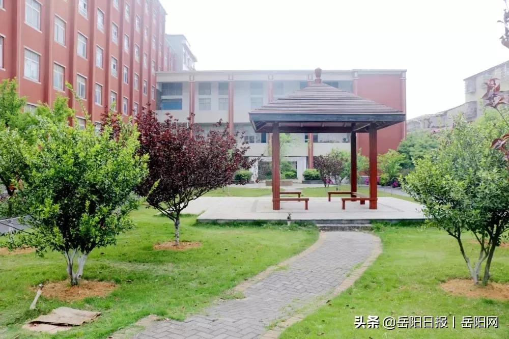 8-15万年薪+食宿全免，岳州中学公开招聘各科教师及专干