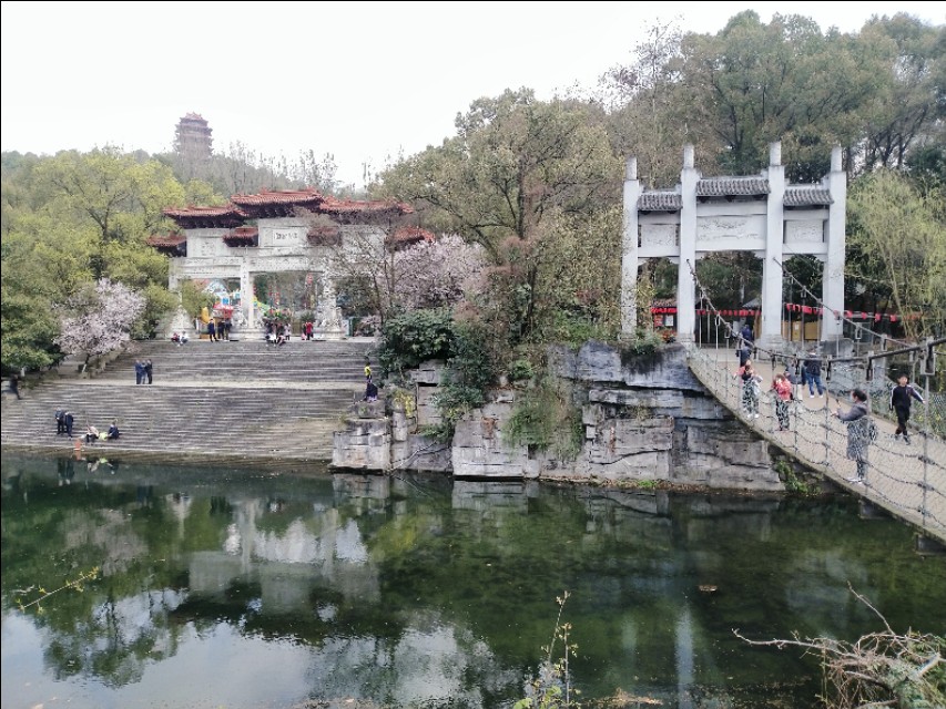 遵义三阁公园内有花吗,遵义三阁公园