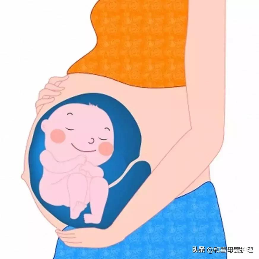 孕妇怀孕6周吃什么比较好,怀孕26周应该补充什么营养