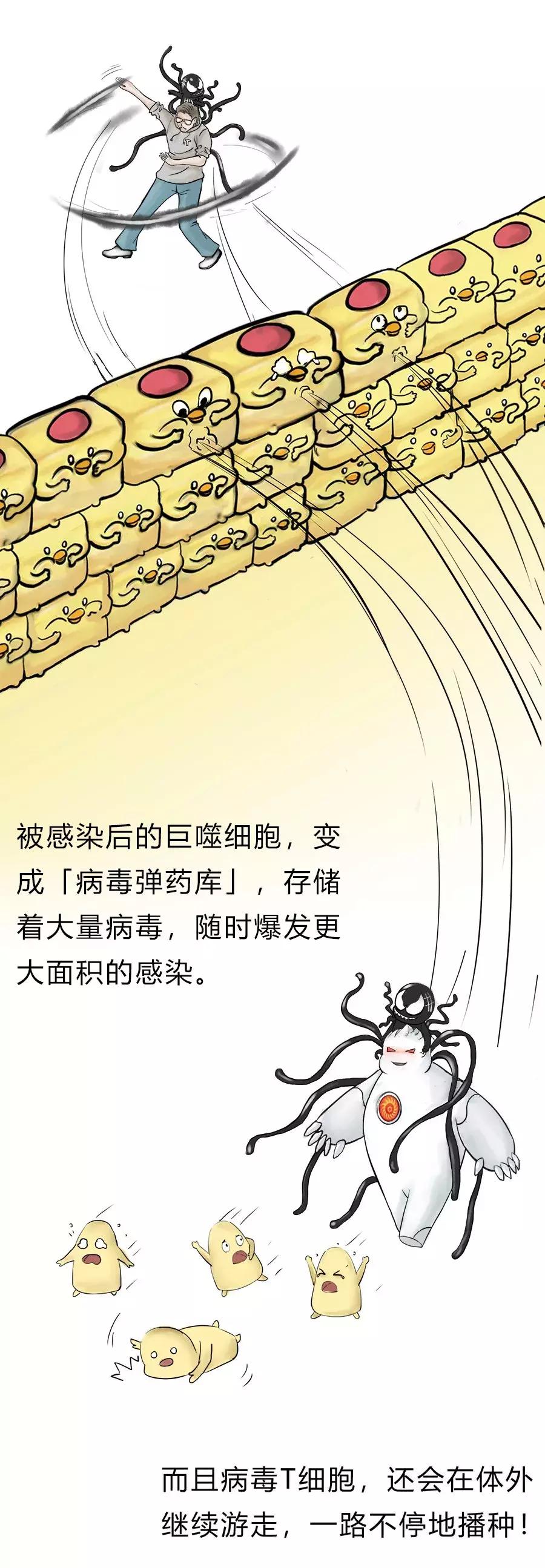 艾滋病病毒入侵全过程曝光,世界上被证实的艾滋病毒体外感染