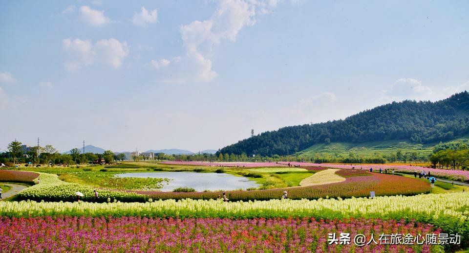 杭州市余杭区景点规划,杭州市余杭区旅游景点大全