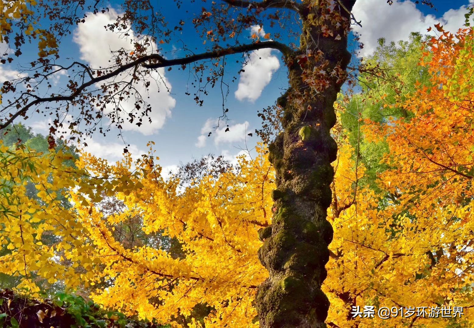 天平山景区位于苏州古城西南，是太湖国家风景名胜区的核心景区