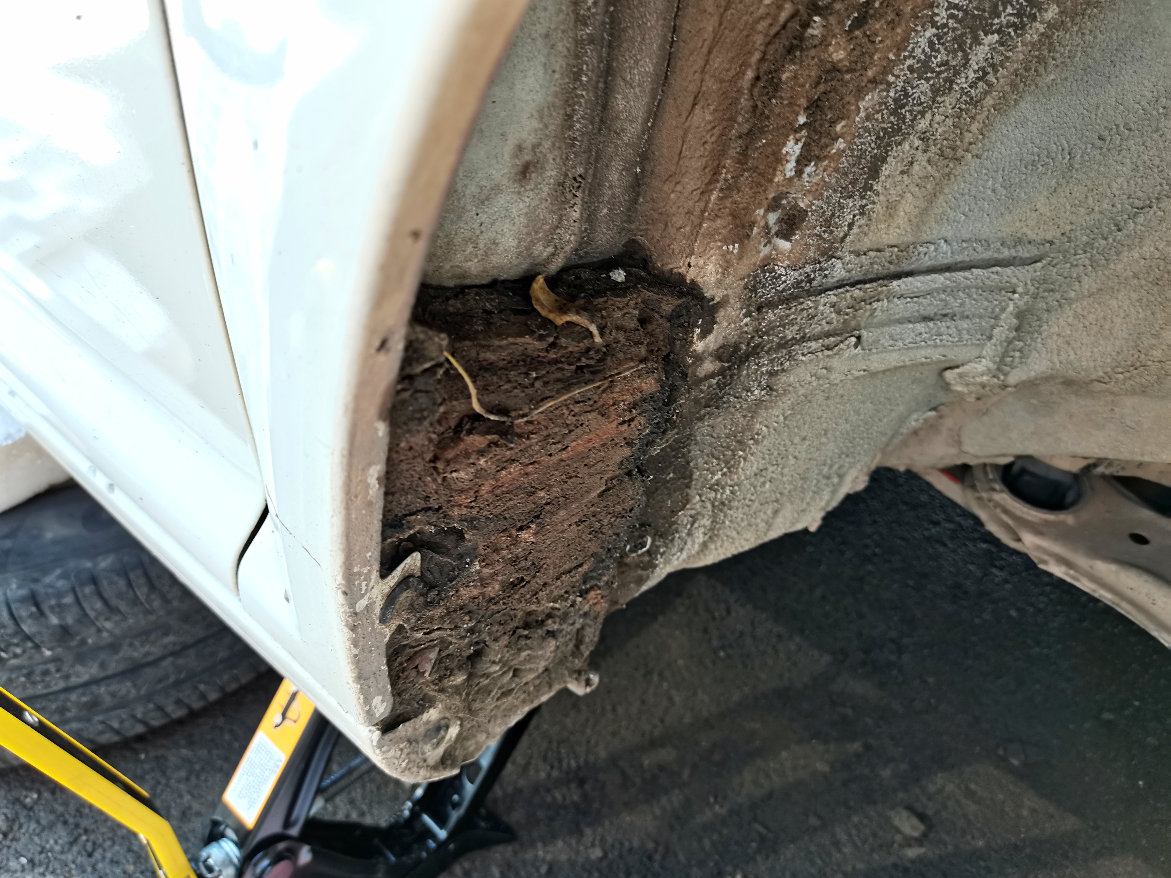 高级车大众车,很高级的大众车