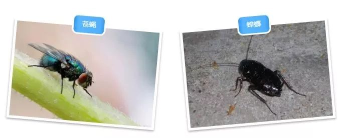 天天雨雨雨，小心肠道疾病缠上你