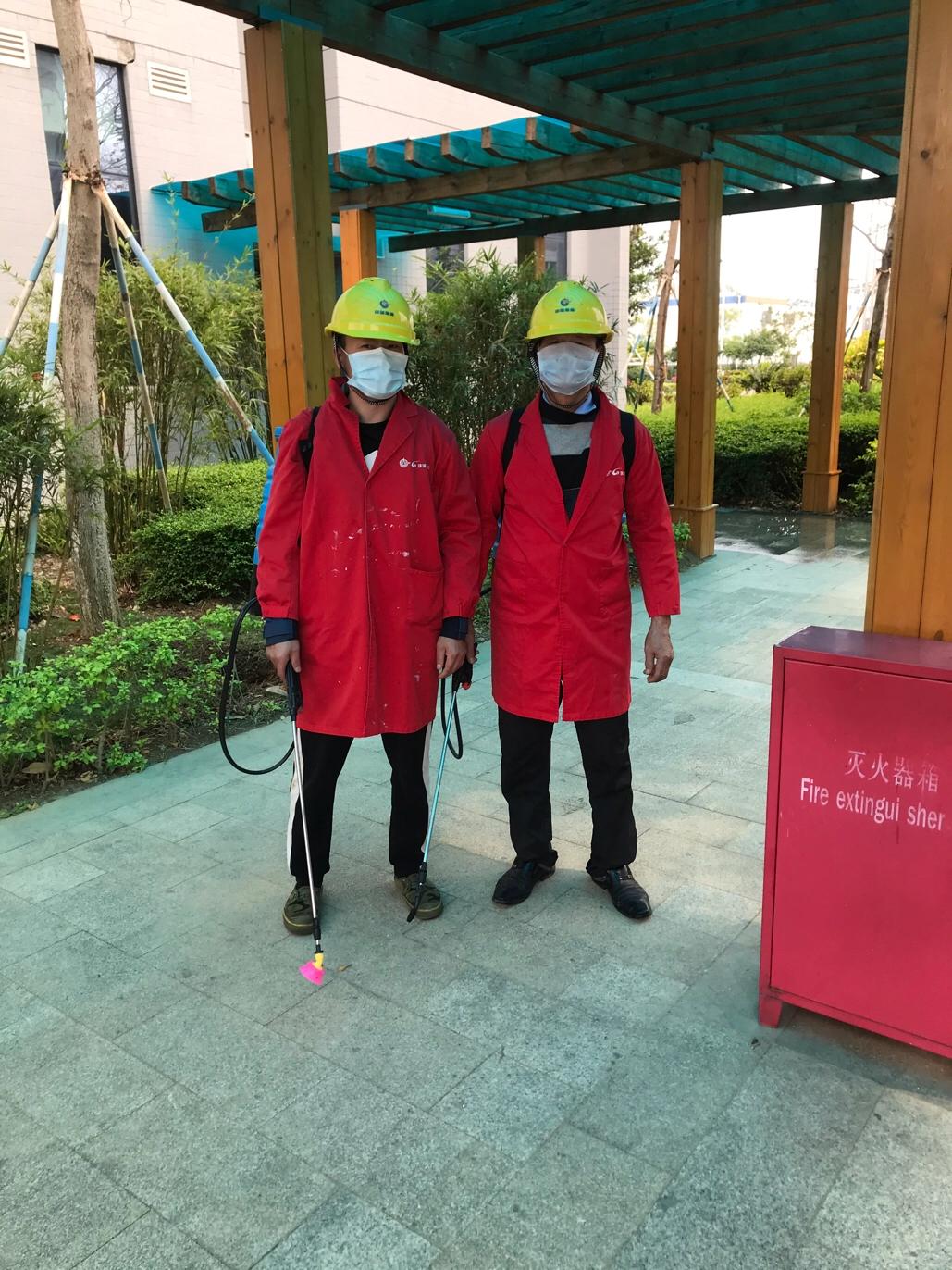 珠海白蚁防治消杀方法,珠海灭白蚁措施有哪些