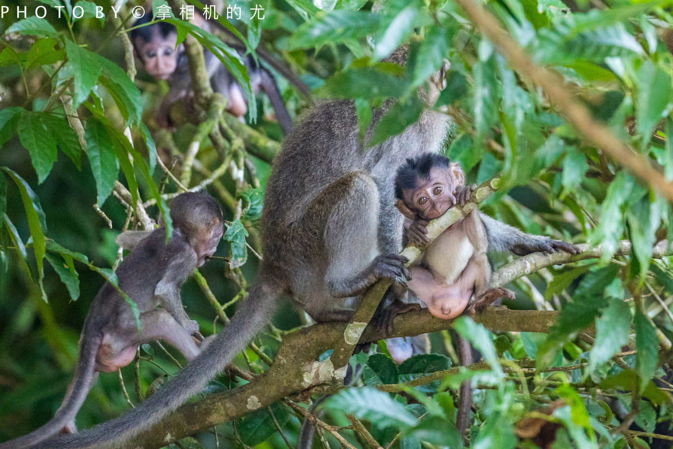 婕父瓒呬汉鏄ヨ妭鏃呮父鏀荤暐,婕父瓒呬汉鏃呮父鏀荤暐