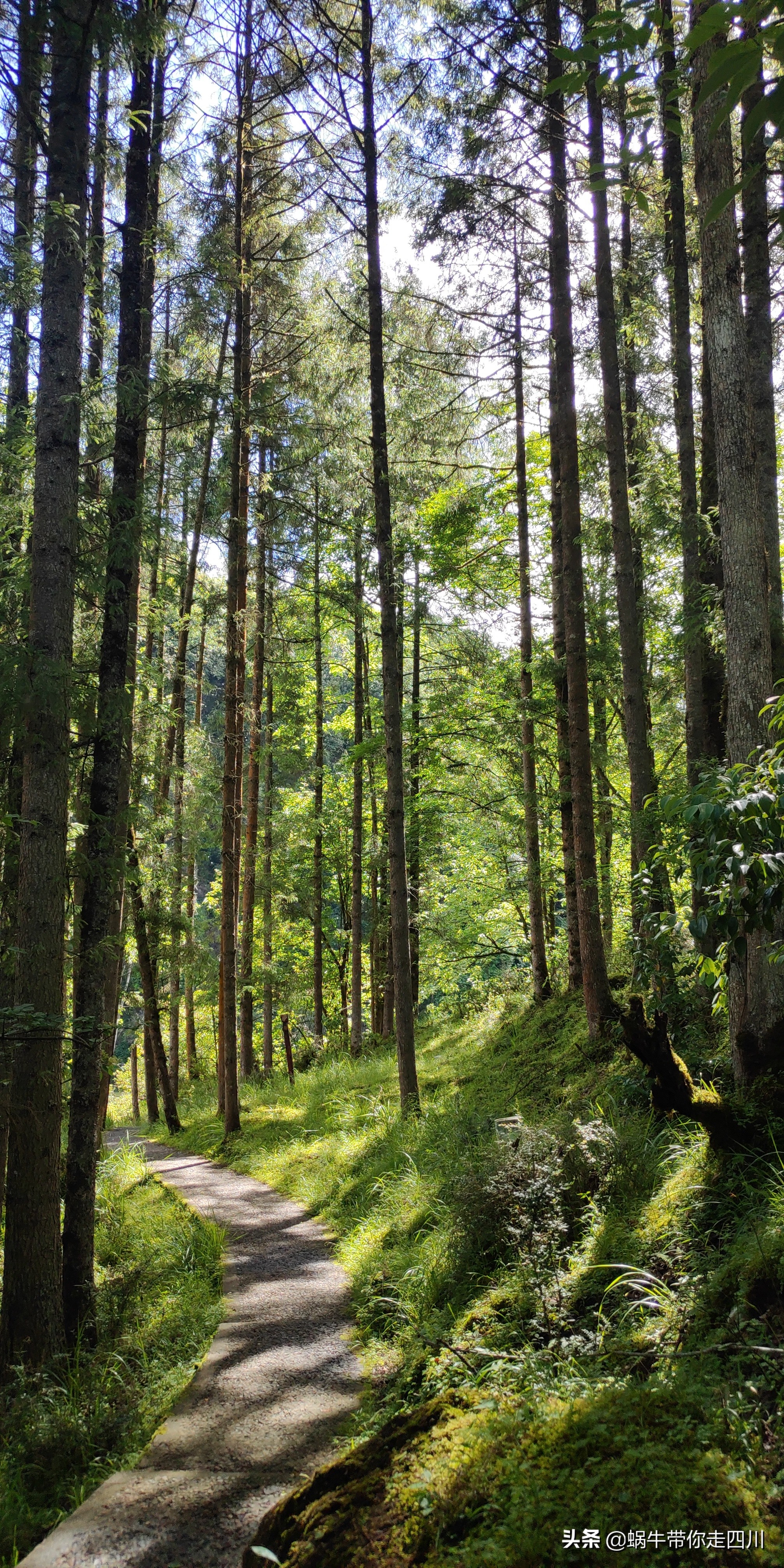 带小朋友出去看小动物,带小孩去海洋动物园