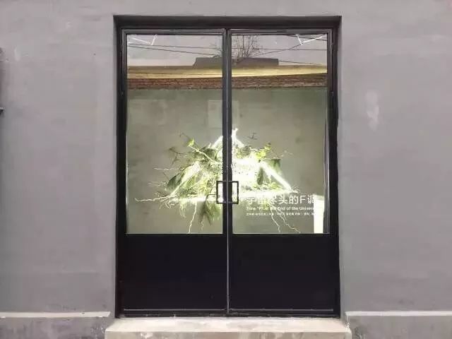 北京最美花店,她放弃了总监职位后续