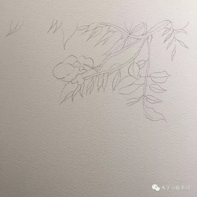 紫藤花水墨教程,紫藤花水粉画法步骤图