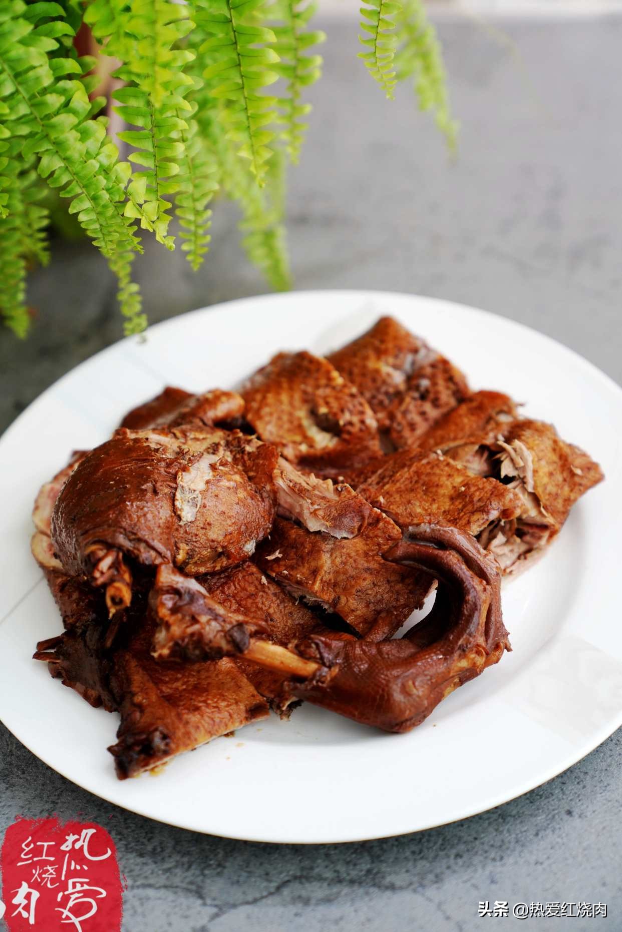 家禽爱吃的菜,什么鹅最好吃又好养