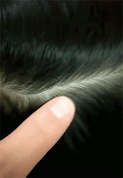 大哥，我心疼我的小车十分钟啊