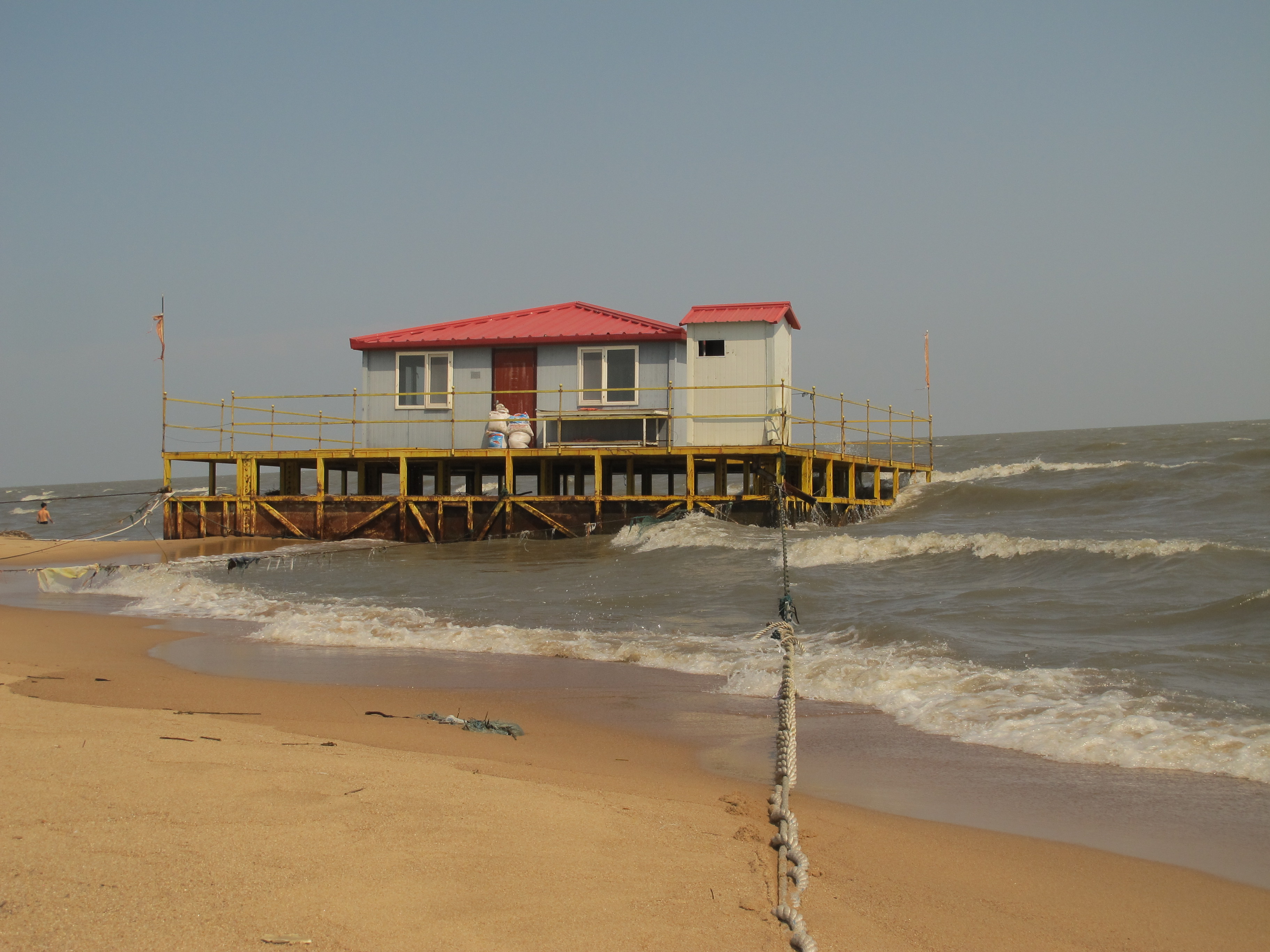 兴凯湖的大白鱼图片,兴凯湖纯野生大白鱼
