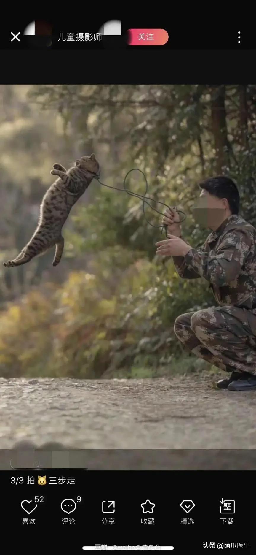 真正的摄影艺术，不是把猫绑在绳子上扔着飞起来