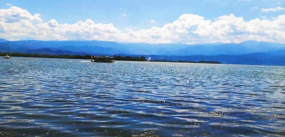 2020年摄影点评部分低分照片合集(下)(前方大量熊猫出没)