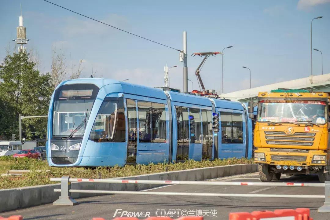 从蓉2来｜天天看见“叮叮猫”跑来跑去的，它到底在忙什么啊？