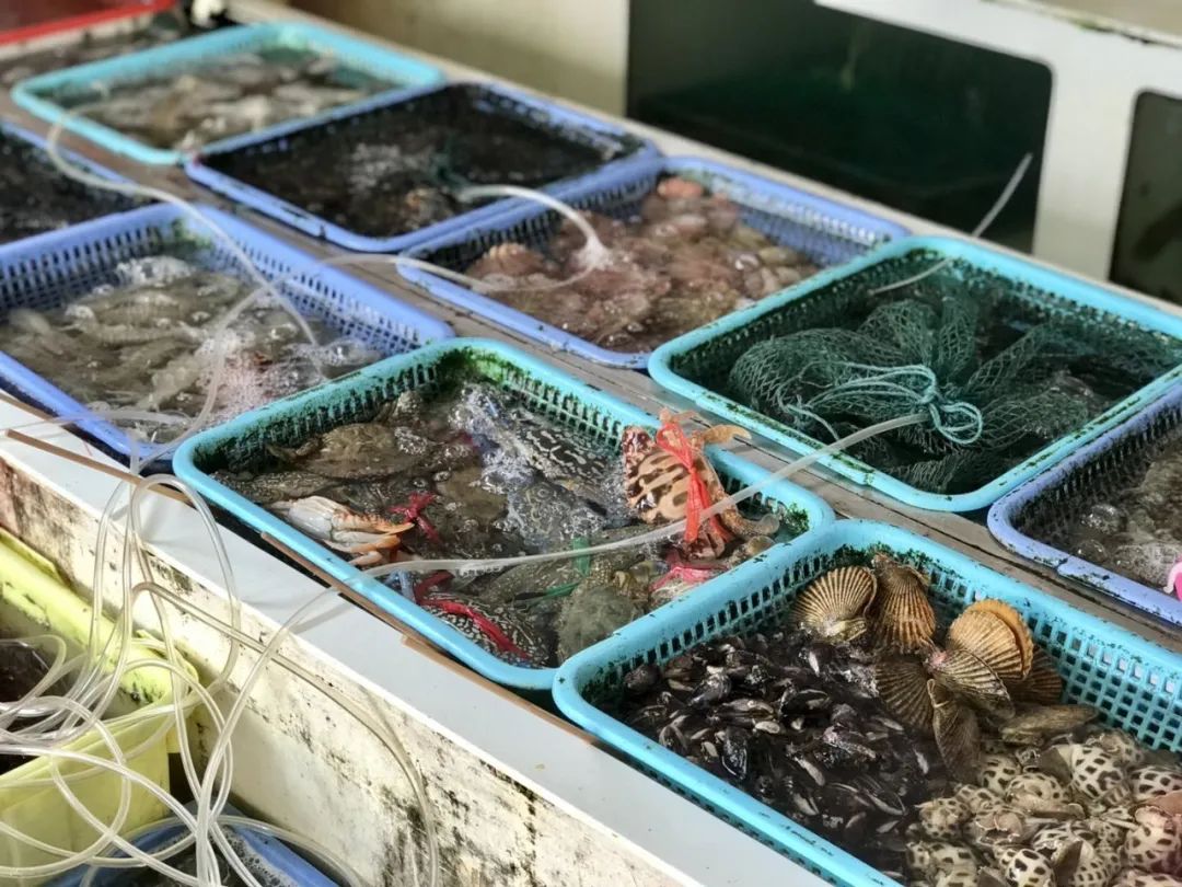 南澳岛上小众海滩,南澳岛3天2晚游攻略