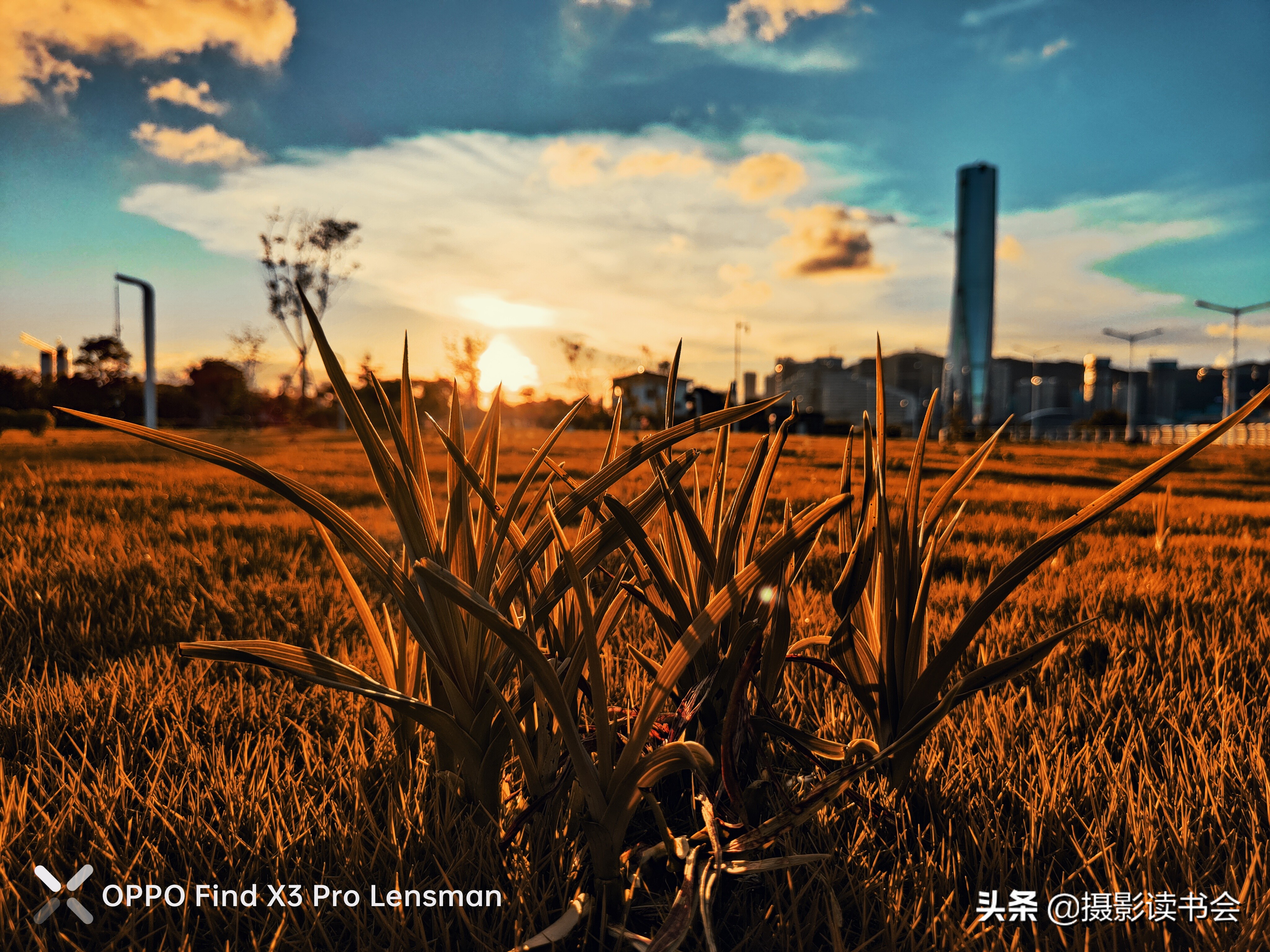 张艺谋被严重低估的一部作品,张艺谋拍电影到底有多厉害