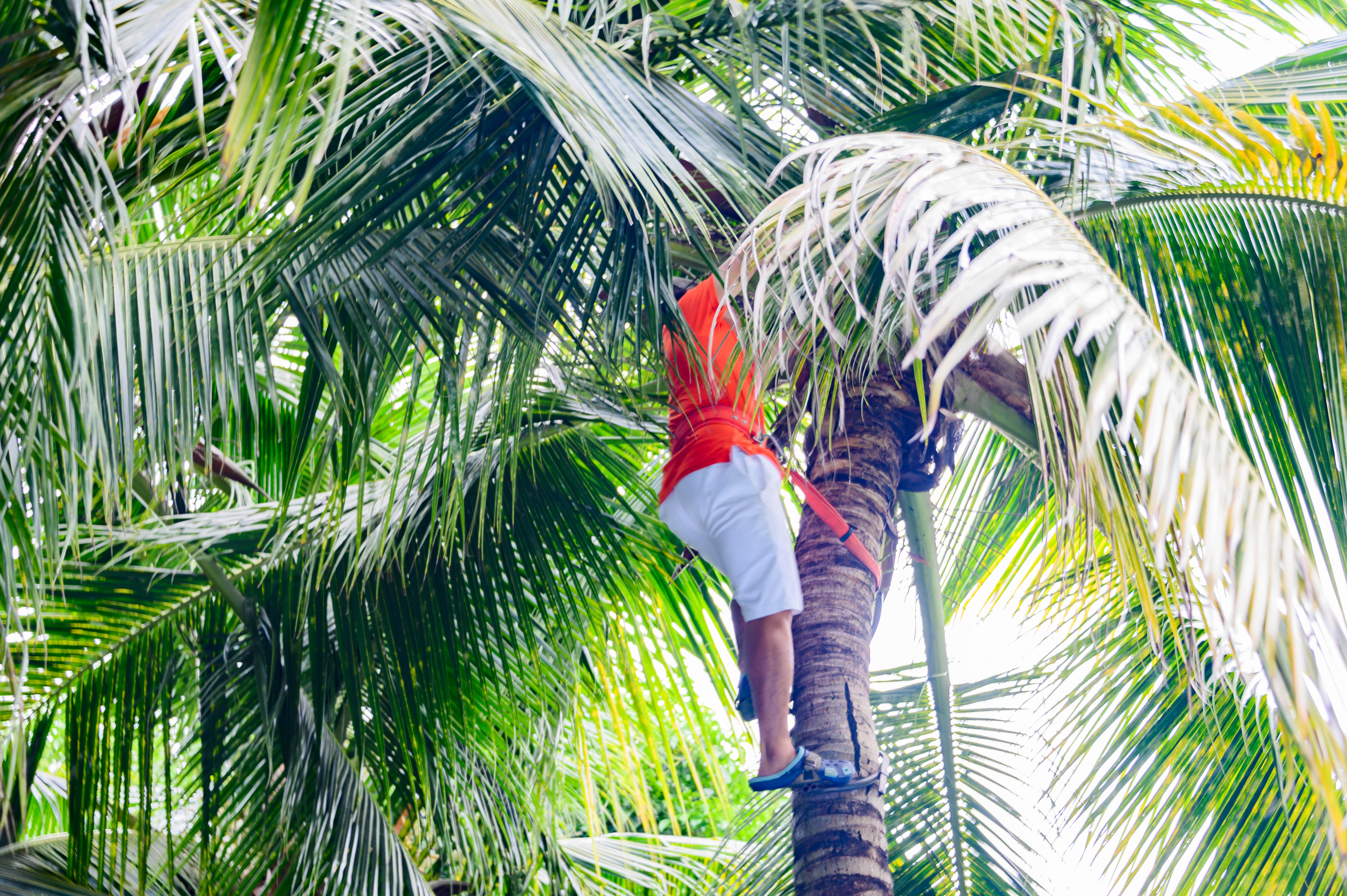 夏天的三亚海边有多热,三亚的夏天比广州和深圳都要凉快