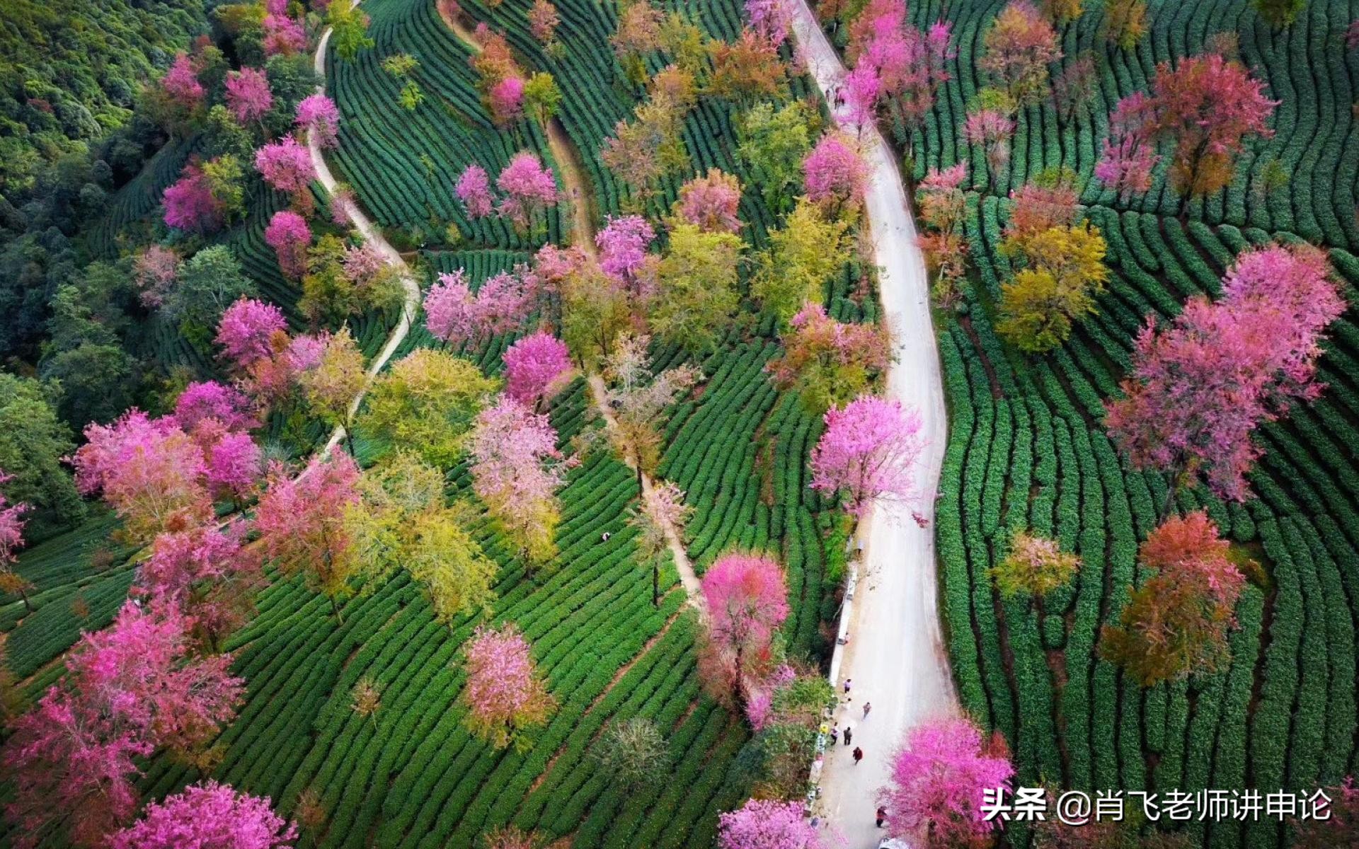 乡村振兴战略的万能申论开头,申论开头和结尾写作技巧和方法