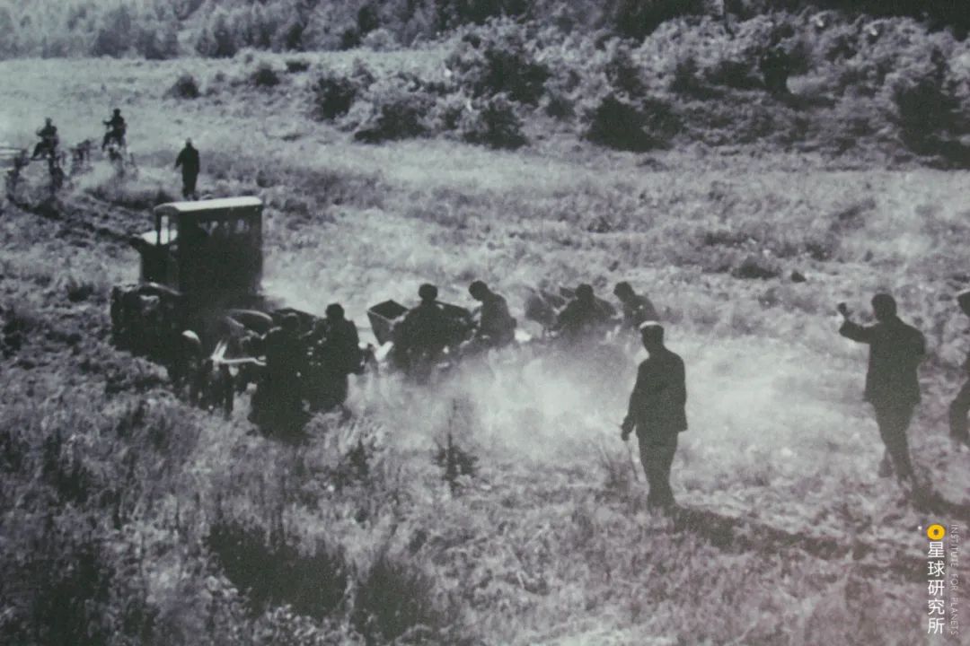 中国植树造林成果国外有什么看法,植树造林改造沙漠