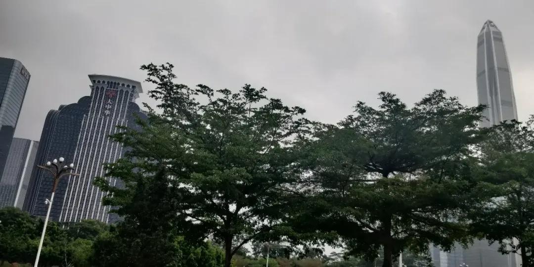 普通会计难学吗,涉外会计专业就业怎么样