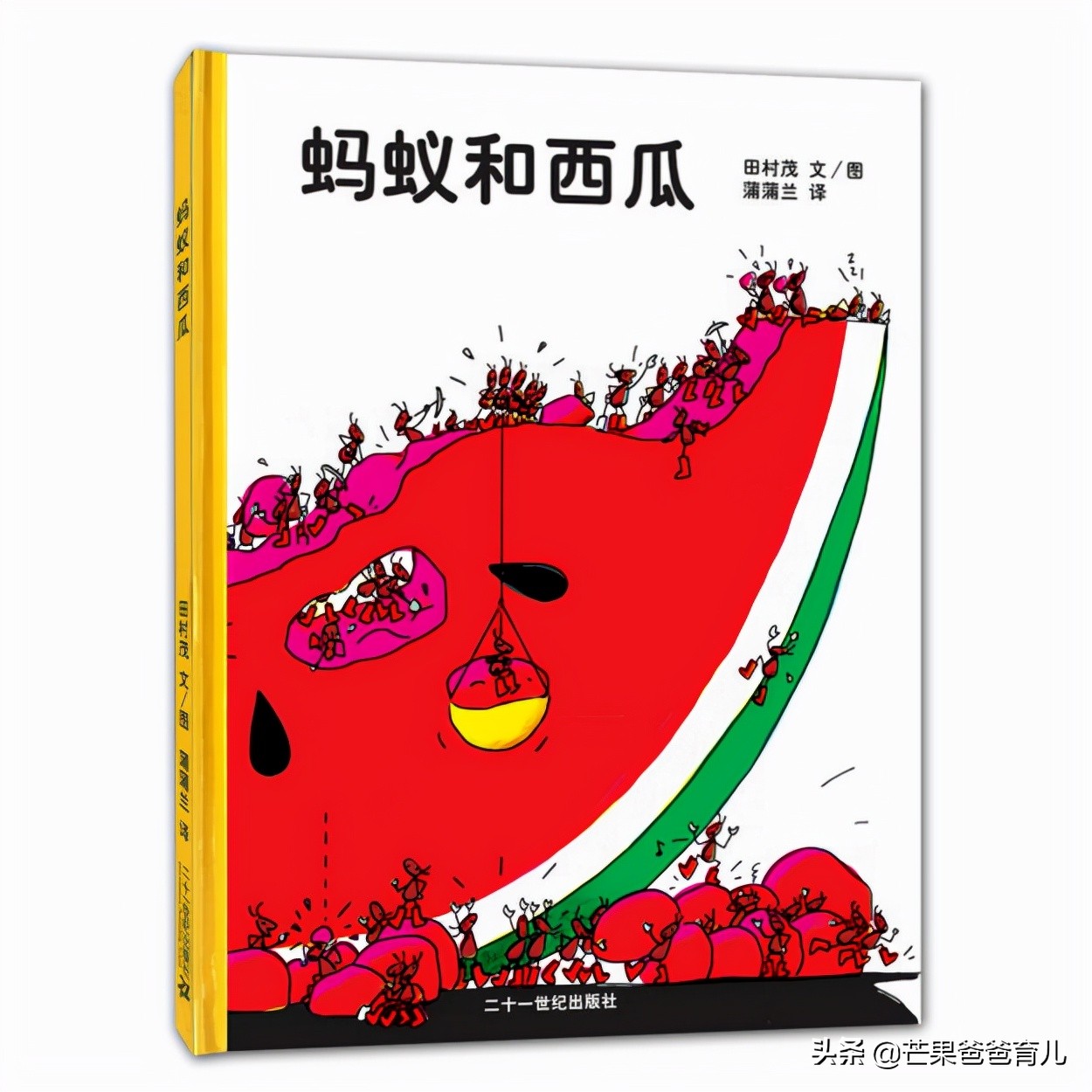 幼儿园教师必读的绘本,适合幼儿教师看的绘本