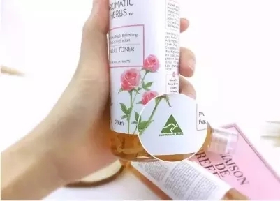 王鸥沈梦辰,王鸥吴昕黄圣依