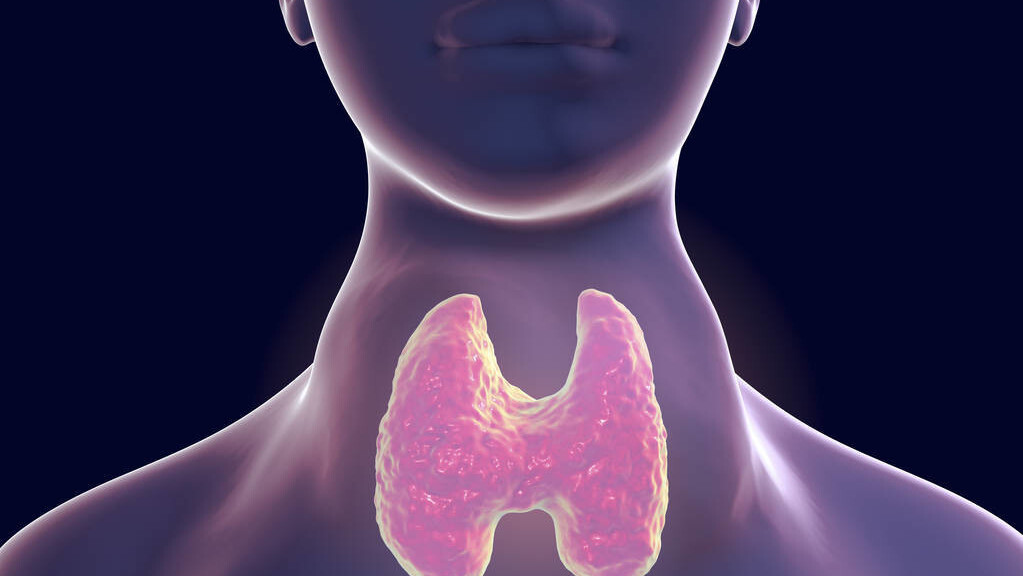 为什么好多人长期吃不胖,为啥有的人怎么吃都不胖