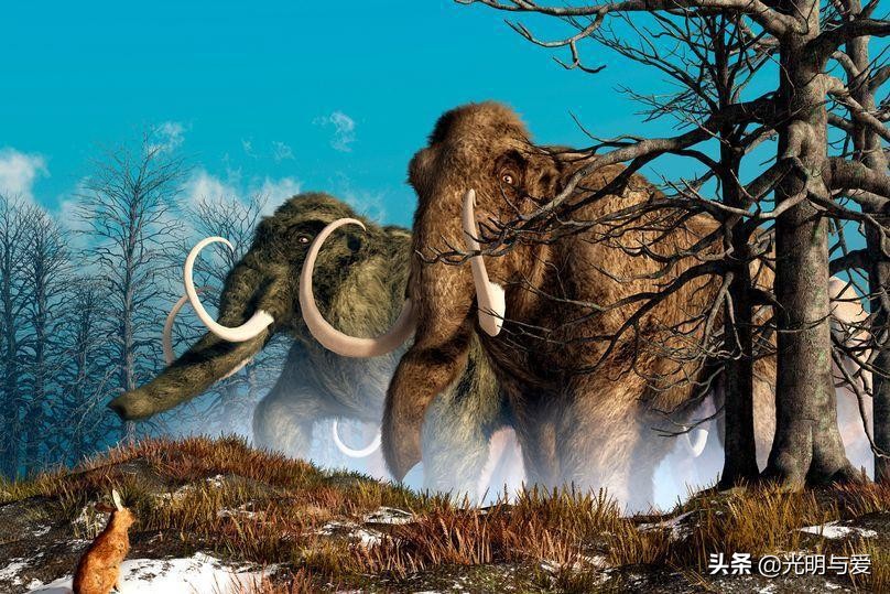 类人猿违背进化论疑点,进化论中的疑点是什么