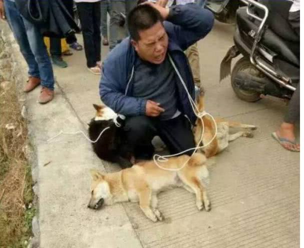 偷狗被打死怎么判,偷狗的被打死了怎么判刑