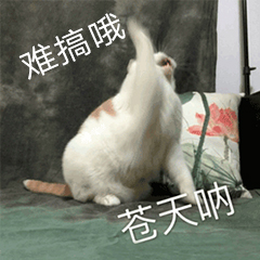 500页word怎么删除,删除word空白5页教程