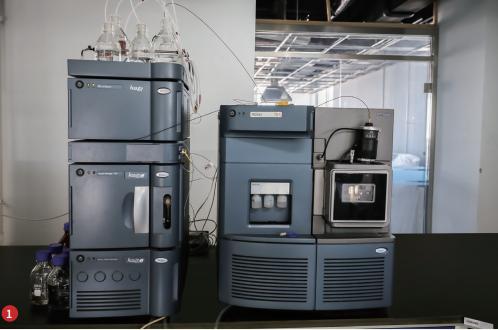 实验室|去除腐烂部分的果蔬还能吃吗?实在舍不得扔怎么办?