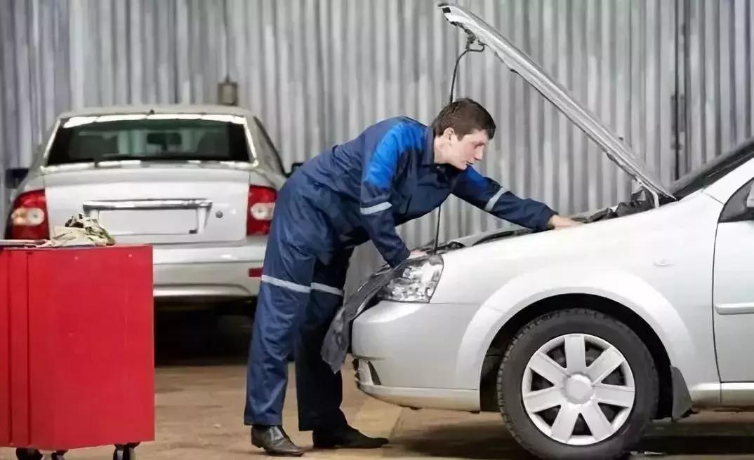 老鼠从哪里钻进车内,老鼠是怎么钻进车里的