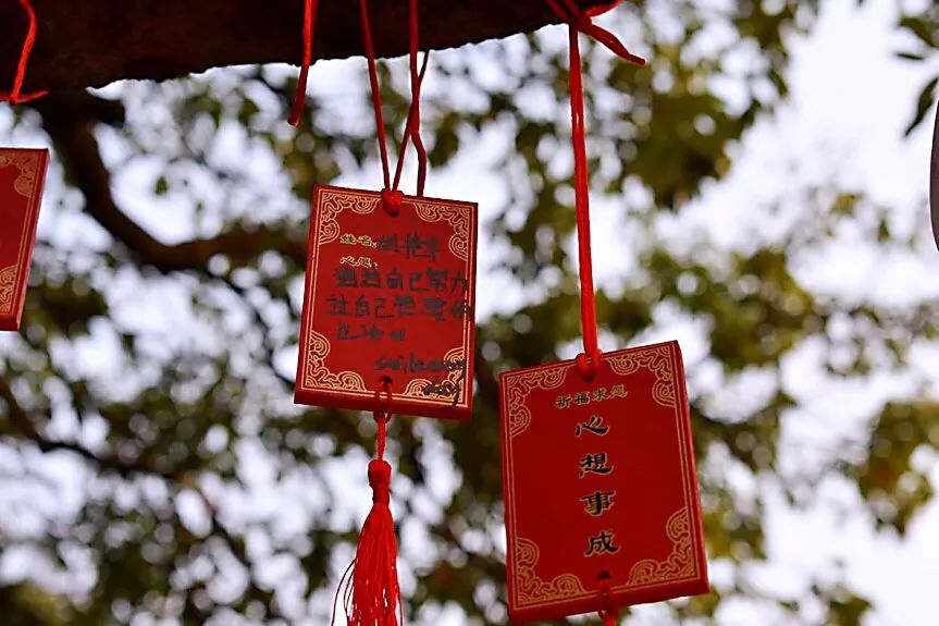 宝安福地,宝安福地在哪里