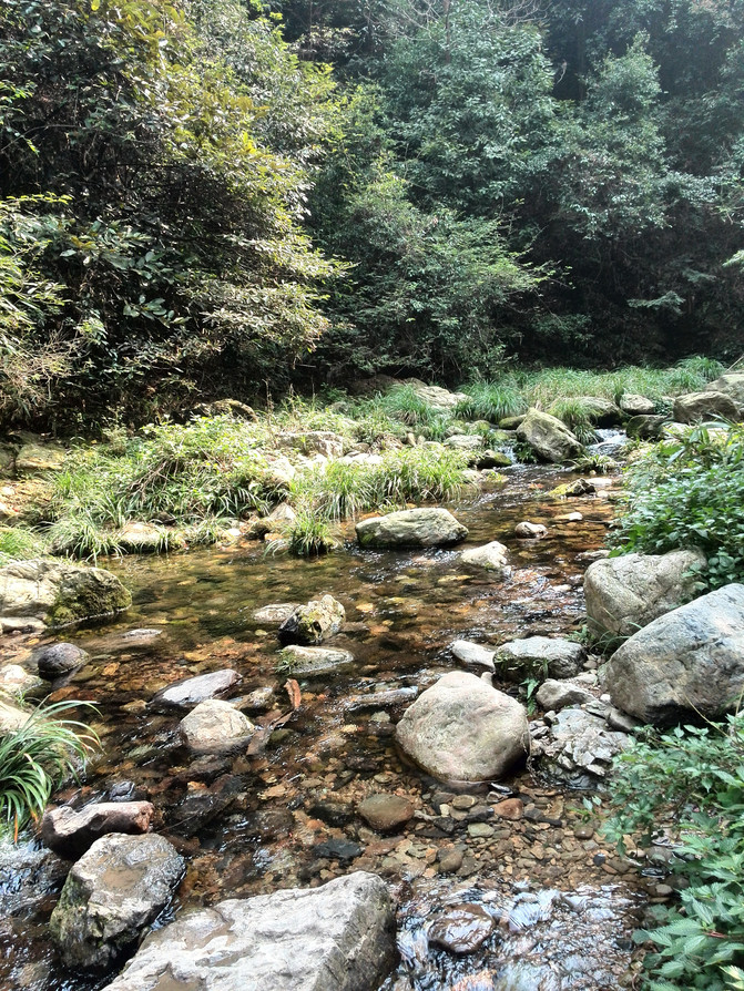 益阳市内有什么旅游景点好玩,湖南省益阳市旅游景点排名