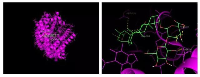 跟sars对比新冠状病毒传染性,与sars战斗