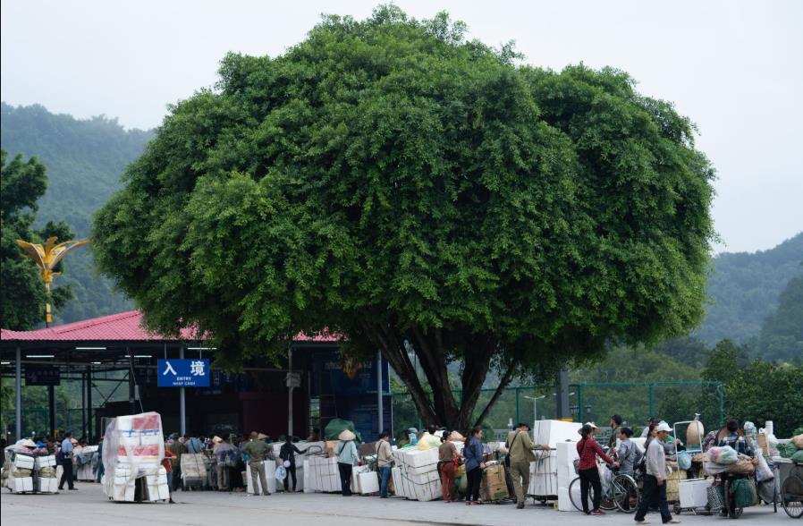 越南美女收入多少,越南女性逆袭记录