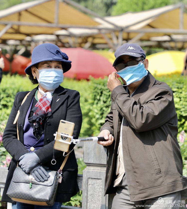 看洛阳牡丹花卉节,洛阳古都牡丹花展