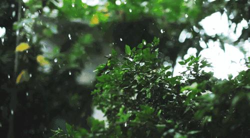 秋日回顾｜如果你还没爱上古典吉他，现在是时候了