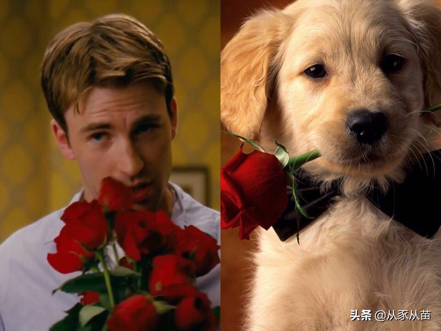 原来美队私底下是这样！看完这组照片会心一笑哈哈