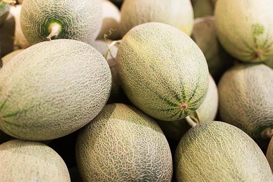 油画棒教程简单初学者儿童画,儿童油画棒画基础教程水果